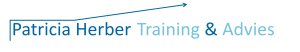 !!PH Training en Advies logo